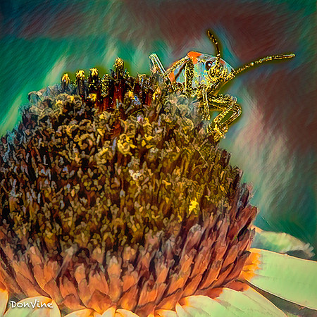 Pollenator_()_040726_133033_37188-XSIQ