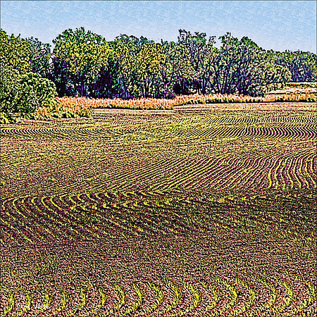 Plow Patterns_101001_11271__3-XSYQ