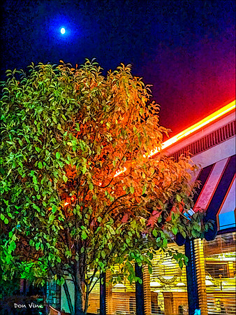 Slow Night_120827_22040-HXSYQ
