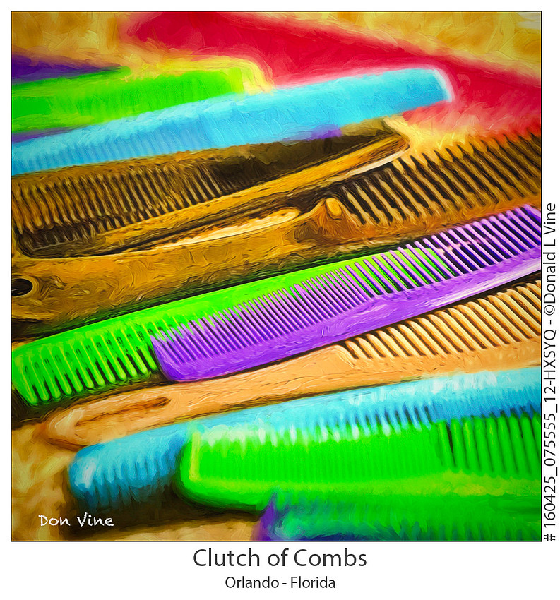 160425_075555_12-HXSYQ_Clutch of Combs_Orlando - Florida