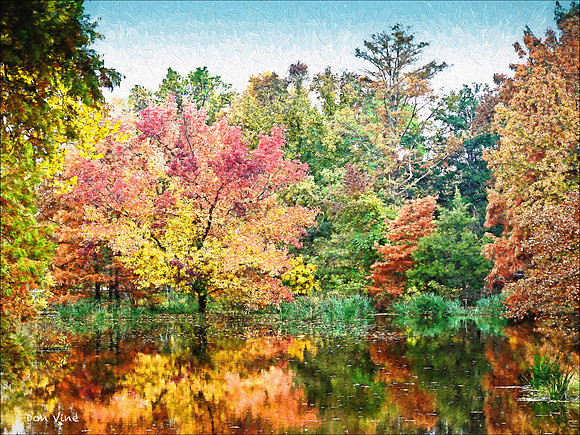 Autumn Reflections_091025__037__3-XSYA