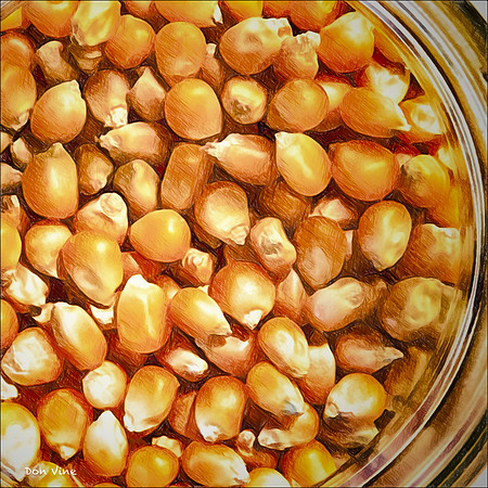 Popcorn Kernels in a Jar_150419_1212_26245-HXSEQ