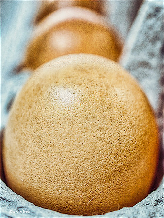 Eggs in a Row_121111_14002-HXSV