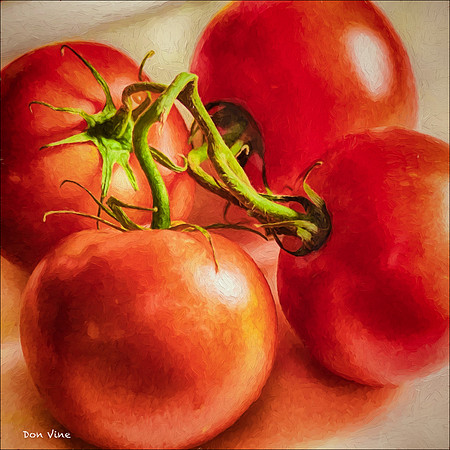 Four Tomatoes on a Stem_150815_135529_11-HXSYQ