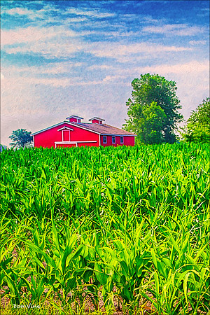 Red Barn Green Corn_100625__002__4-HXSYV