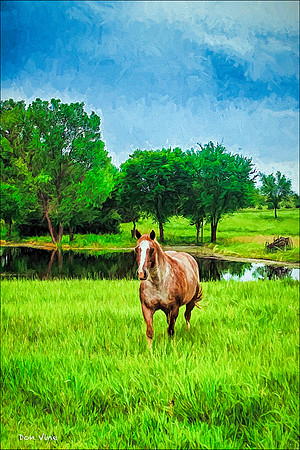 Dream Pasture_090715__020-XSY2V