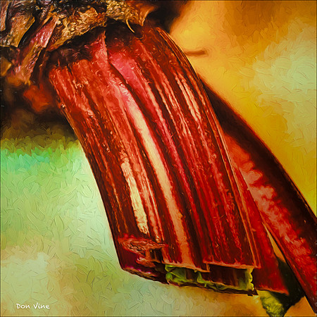 Beet Stems_151817_152056_37__06-HXSYQ