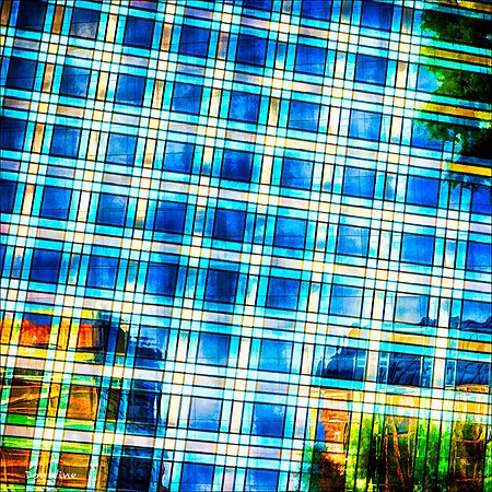 Calico in Blue_130515_17_638-HXSCYQ