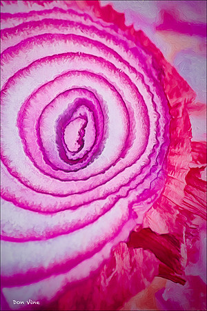 Red Onion Rings_150621_164135_03-HXSYV