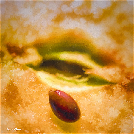An Apple Tear_150515_155922_23_2-HXSYQ