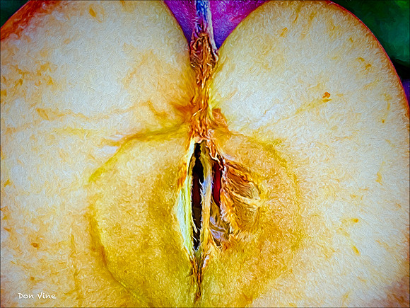 Half Apple Again_150805_122158_78-HXSYA
