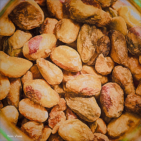 Passel of Pistachios_150528_164149_28-HXSYQ