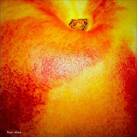 Fresh Nectarine_150524_170718_08__03-HXSYQ