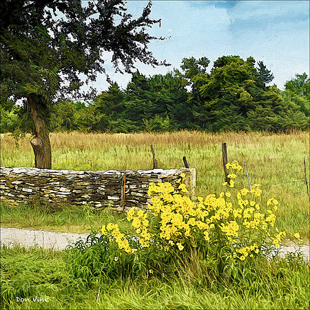 Native Stone Country Lane_090914__078__3-XSYQ