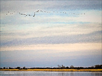 Kansas