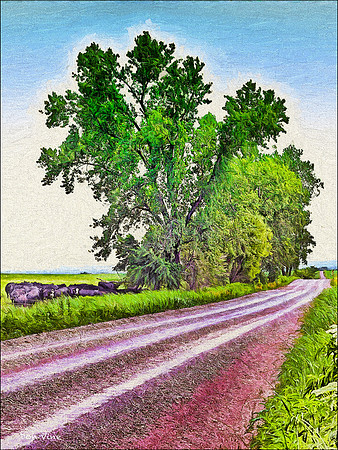 Dirt Road to Kahola Lake_080628_0443__3-XSYV