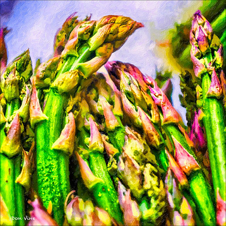 Asparagus Tips_140623_1545_05-HXSYQ