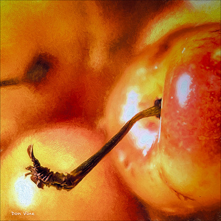 Ranier Cherry Stem_150626_104916_04__05-HXSYQ
