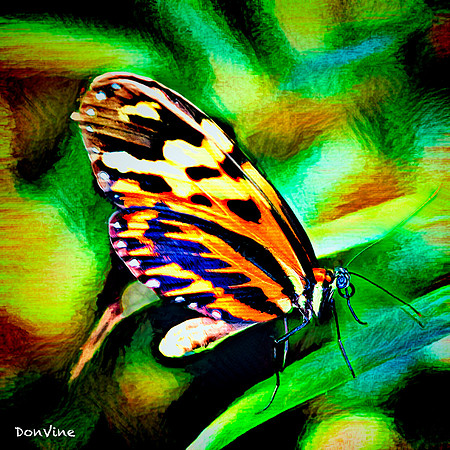 Orange and Brown Smudges_(Denver - Colorado)_030727_123330_1904-XSIQ