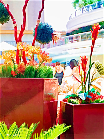 Pool Flowers_110909_088__4-HXSYV