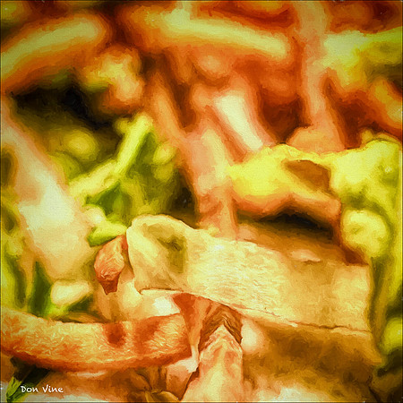 Shredded Lettuce and Carrot Curls_150515_160335_30-HXSYQ
