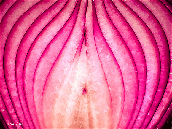 A Really Red Onion_150526_155407_06-HXSYA