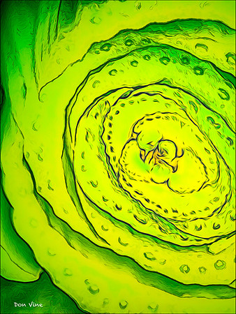 End of the Celery_150620_092441_55-HXSYV