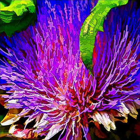 Artichoke Blossom_110604_361__2-HXSYQ