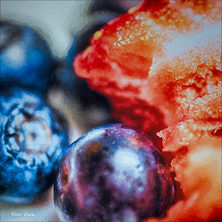 Blueberries and Half a Strawberry_150528_163608_50-HXSYQ