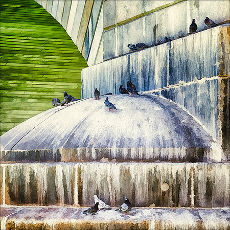 Pigeons at the London Bridge_140430_15_396-HXSYQ