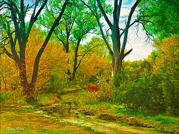 Autumn Creek_091020__117__3-XSYA