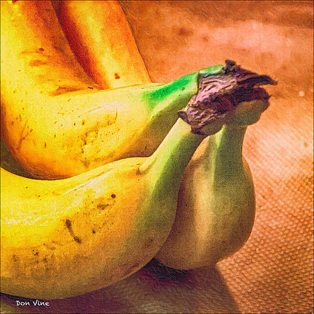 Ripening_140106_16_013-HXSYQ