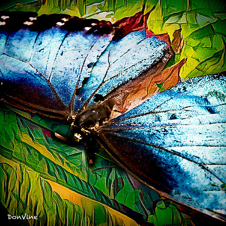 Remains of Iridescence_(Denver - Colorado)_030727_125056_1933-XSIQ-Edit