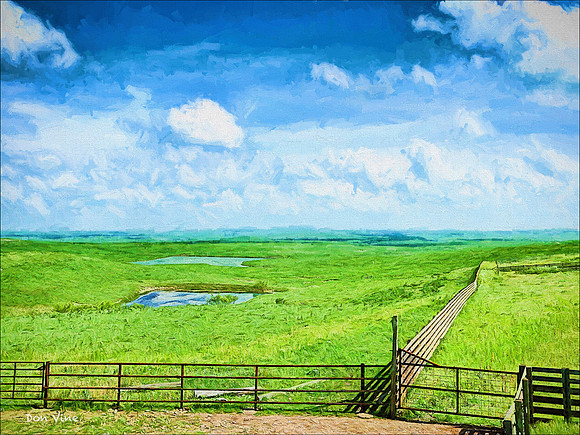 Flint Hills Prarie_070620_000010__3-XSYA