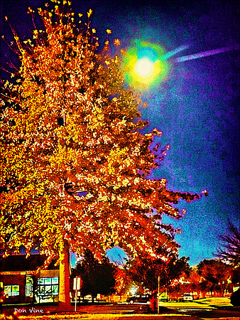 Winter Moon_121028_19_047-HXSYV