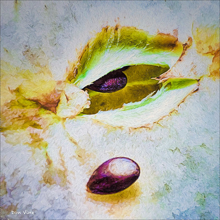 Apple Seeds_150521_100552_17-HXSYQ