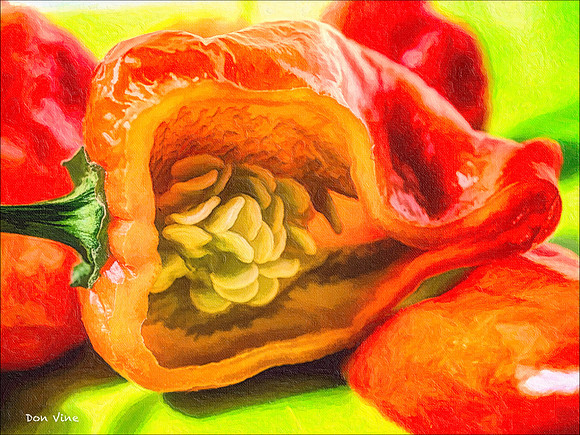 Habanero Heart_140205_16_060-HXSYA