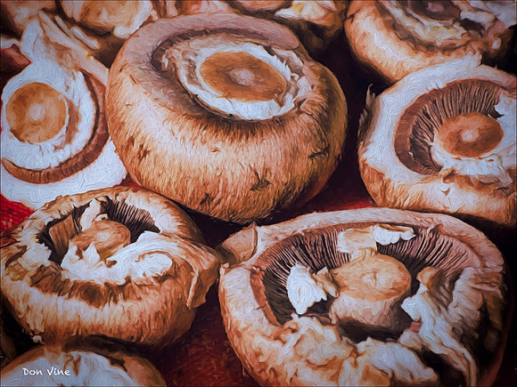 A Few Mushrooms_150618_172354_63-HXSYQ