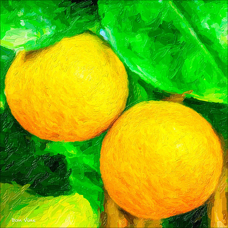 Two Oranges_140512_1351_64-HXSYQ