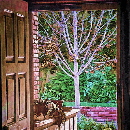 Open to Winter_120922_09033-XSYQ
