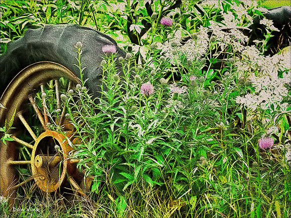 Tractor in the Thistles_090914__110__3-XSYA