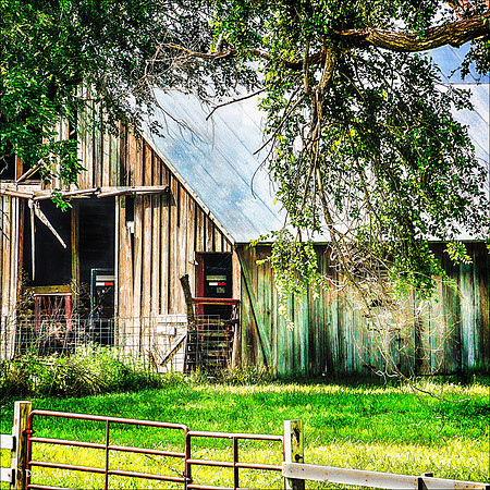 Barn Yard_130815_16_113__2-HXSYQ