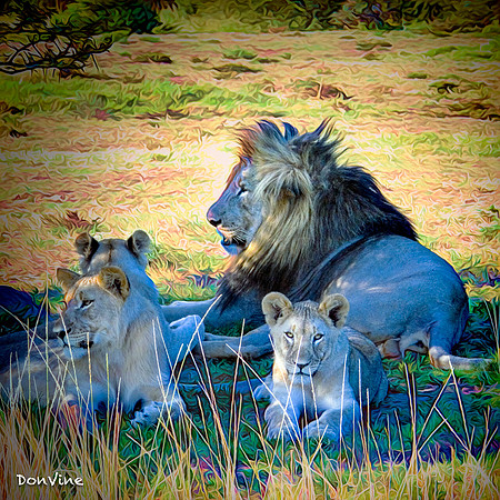 Pride_(Shamwari - South Africa)_050409_074737_557-XSIQ