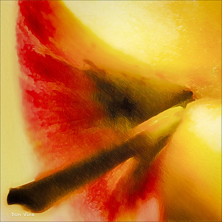 Stem to the Core_150515_155944_40-HXSEQ