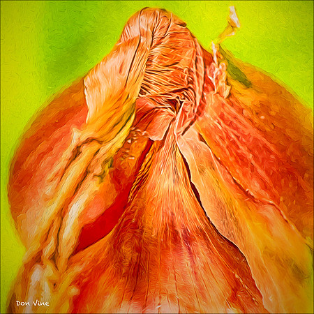 Summer Shallot_150620_114201_45-HXSYQ