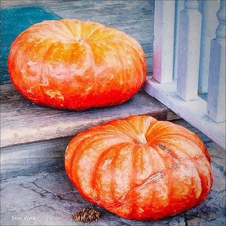 Two Big Pumpkins_141124_14030-HXSYQ