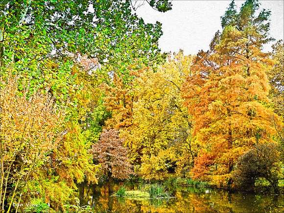 Autumn Inlet_091025__016__3-XSYA