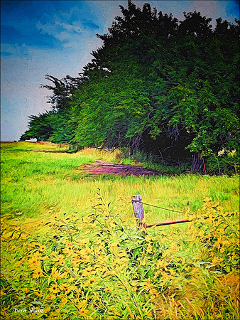 Country Path_090914__047__3-XSYV