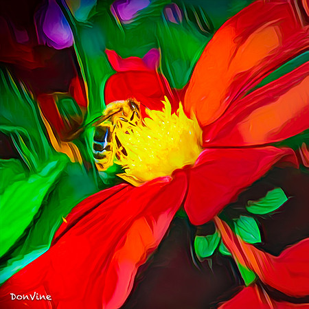 Red Dahlia & Bee_(Albuquerque - New Mexico)_041103_124804_31-XSIQ