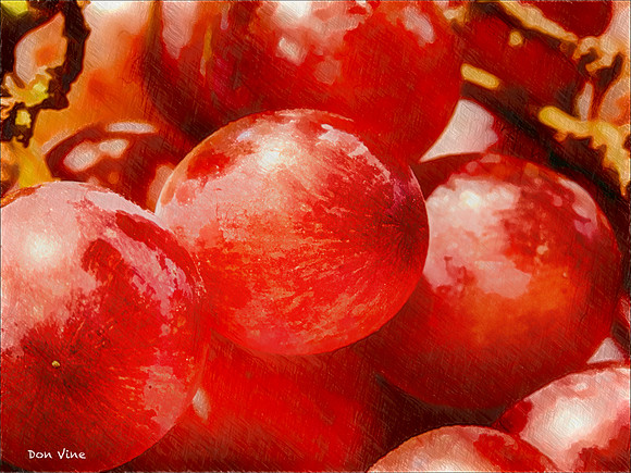 A Few Good Grapes_150916_131726_212-HXSEA